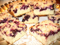 Blueberry_kuchen__crumb_cake_