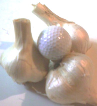 Garlicgolfball